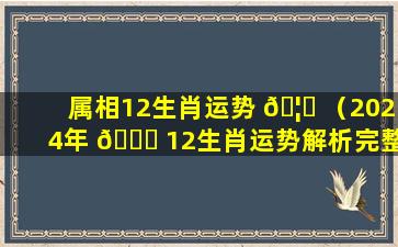 属相12生肖运势 🦈 （2024年 🐞 12生肖运势解析完整版）